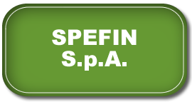 Esito Rapido Partner Spefin